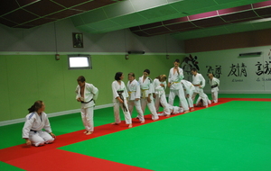 Stage Judo Découverte